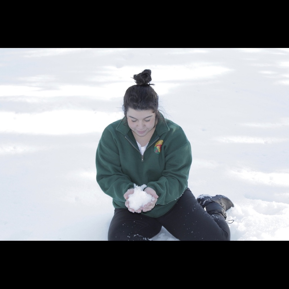 Meet your Posher, Halle